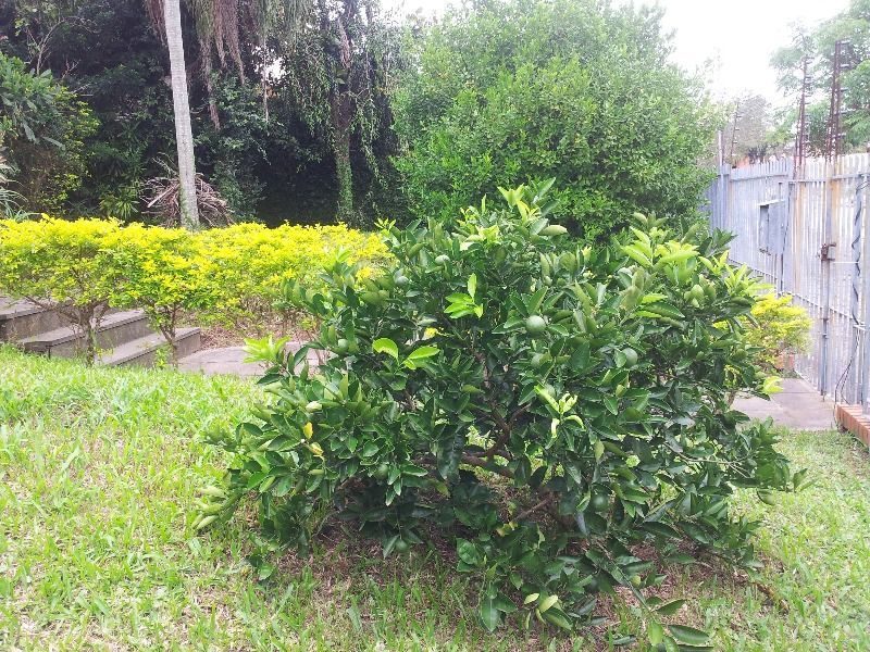 Casa para Venda - 400m², 3 dormitórios, sendo 1 suites, 2 vagas - Cristal — foto 77