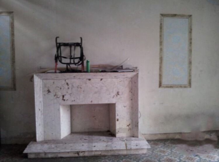Casa Comercial para Venda - 400m², 0 dormitórios, Tristeza — foto 6