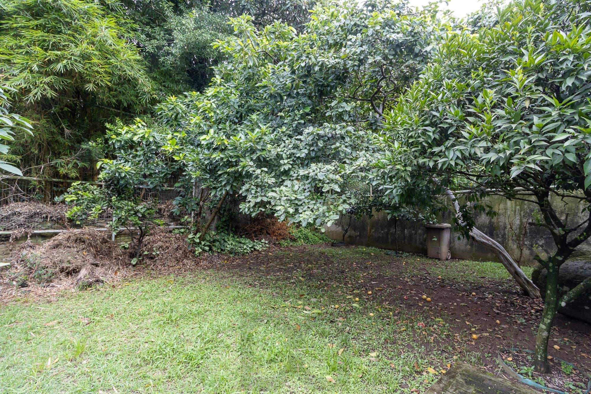 Casa com 4 dormitórios à venda, Jardim Isabel, Porto Alegre — foto 82