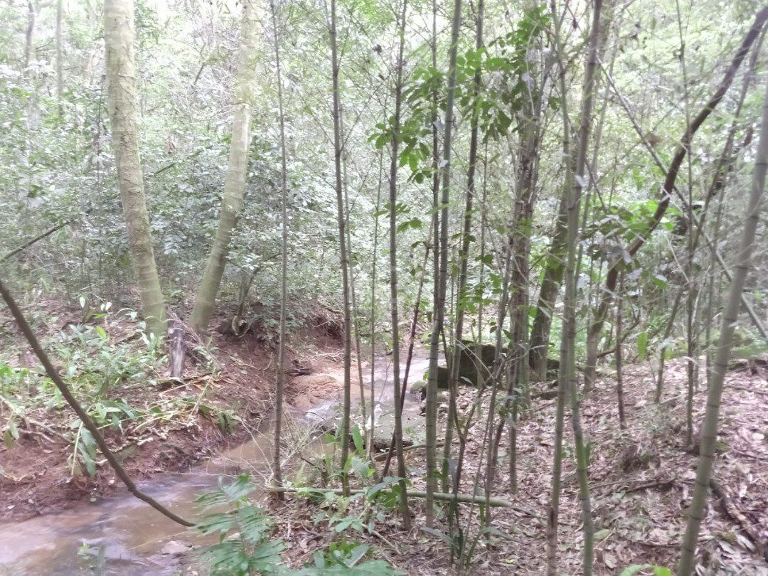 Área para Venda - 11,39ha, bairro Belém Velho — foto 18