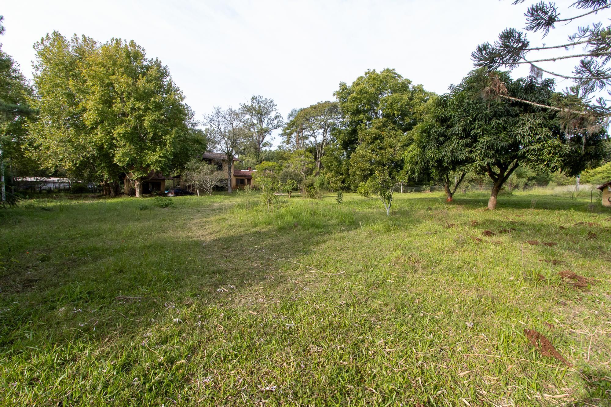 Área medindo 33.426m²! — foto 8