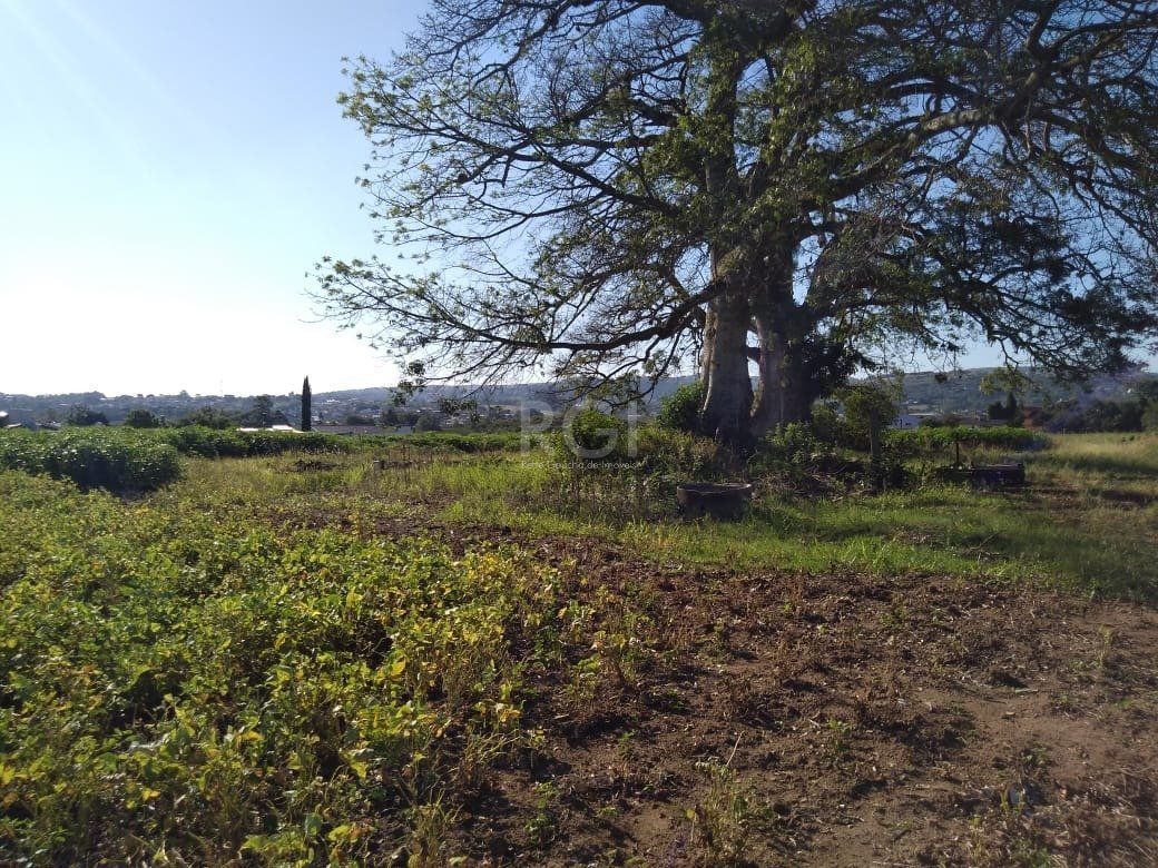 Area para Venda - 36.900m² - Campo Novo — foto 5