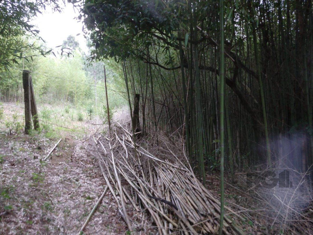 Área 4,69ha | Bairro Belém Velho — foto 10