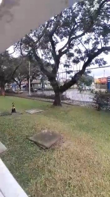 Apartamento térreo com 2 dormitórios - bairro Camaquã — foto 15