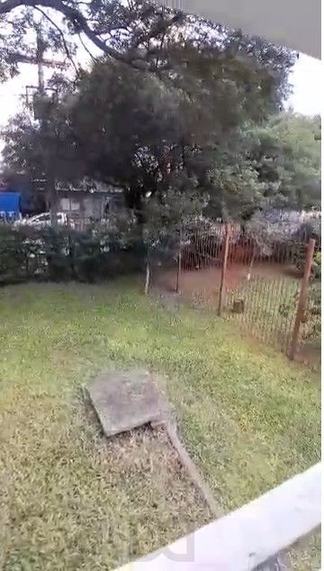 Apartamento térreo com 2 dormitórios - bairro Camaquã — foto 14