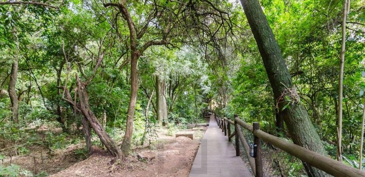 Apartamento 3 dorm.I Suíte I 2 vagas cobertas I Bairro Partenon — foto 42