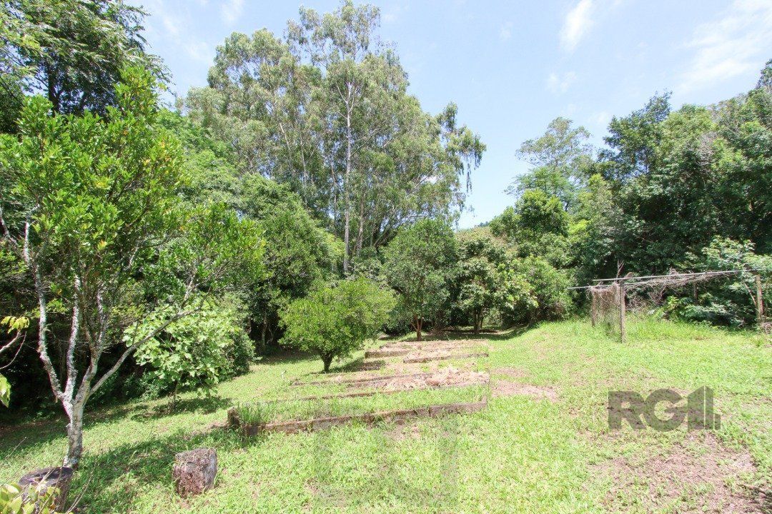 Sitio com casa com 3 quartos, suite, em terreno com 7.320m² - Belem Velho — foto 29