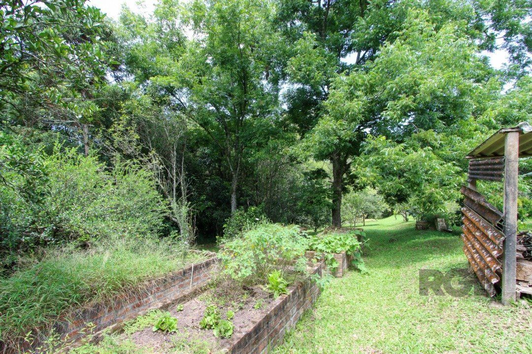 Sitio com casa com 3 quartos, suite, em terreno com 7.320m² - Belem Velho — foto 28
