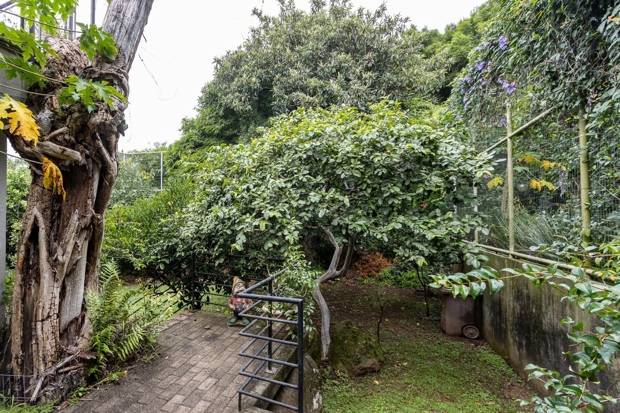 Casa com 4 dormitórios à venda, Jardim Isabel, Porto Alegre — foto 79