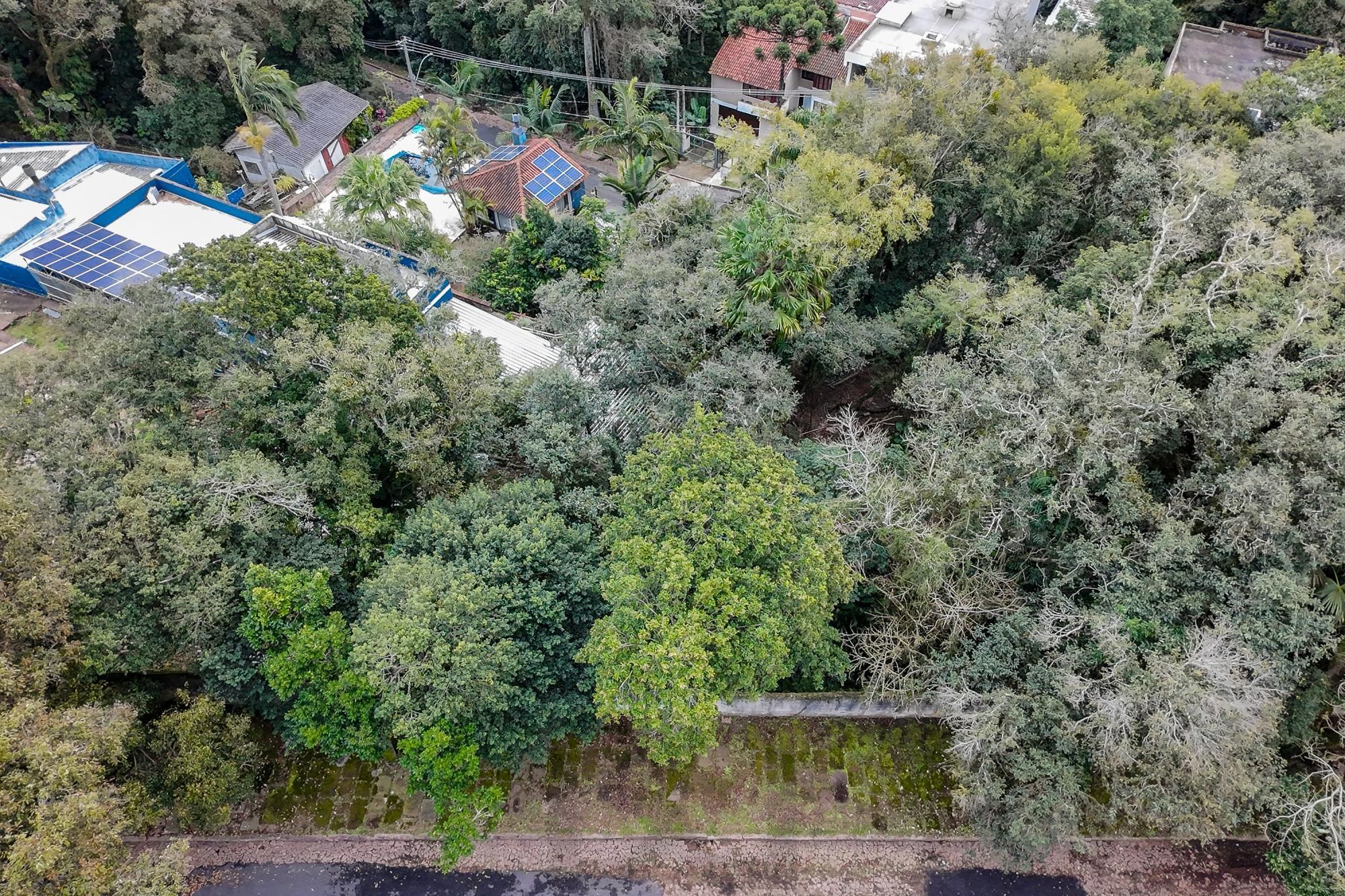 — foto 9