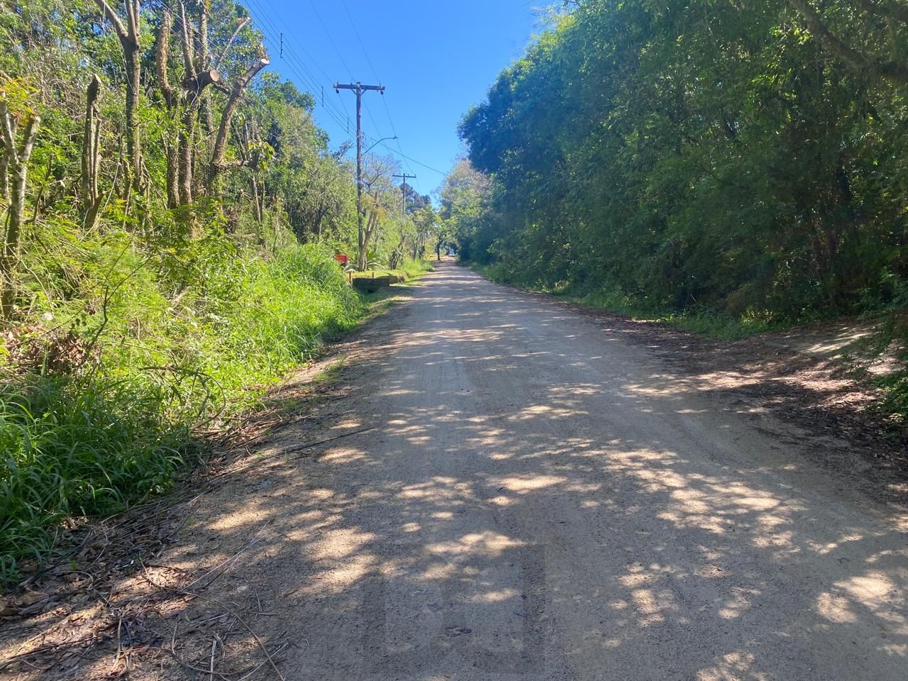 Excelente terreno! — foto 29