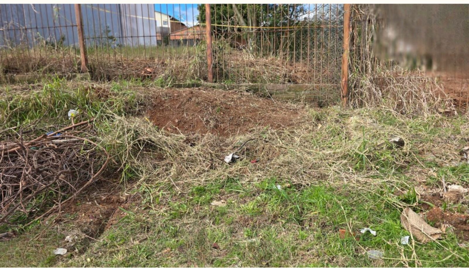 Excelente terreno no bairro Tristeza. — foto 3
