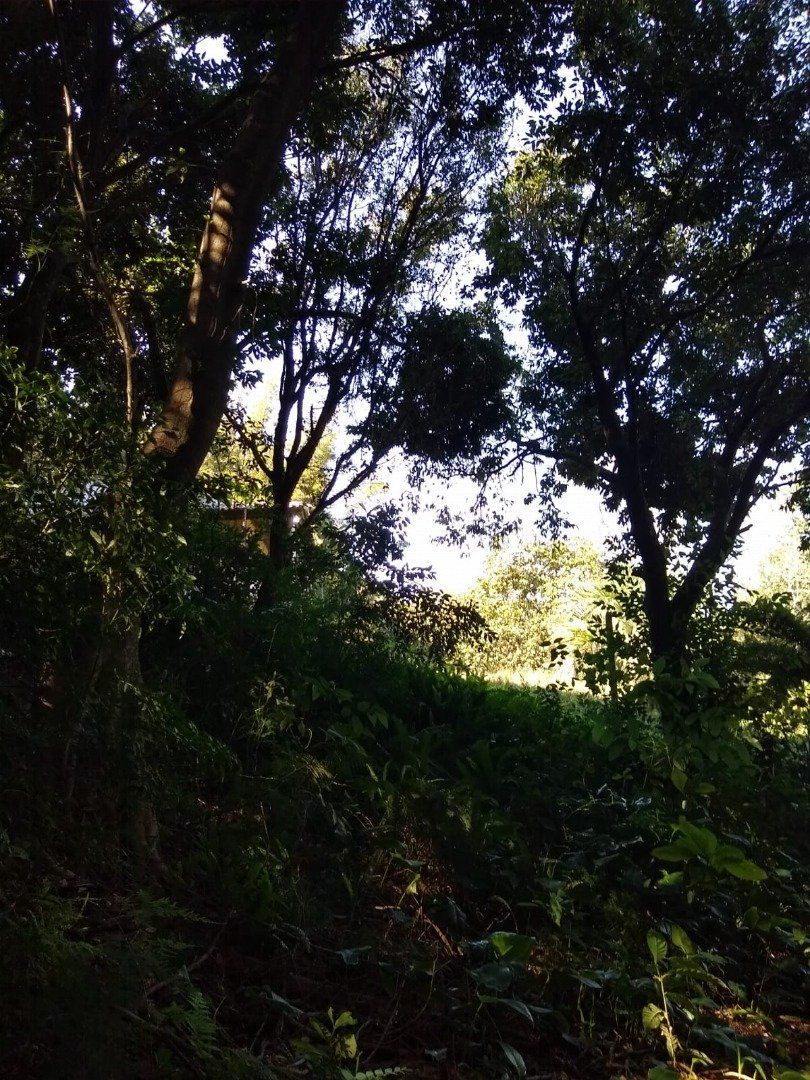 — foto 23