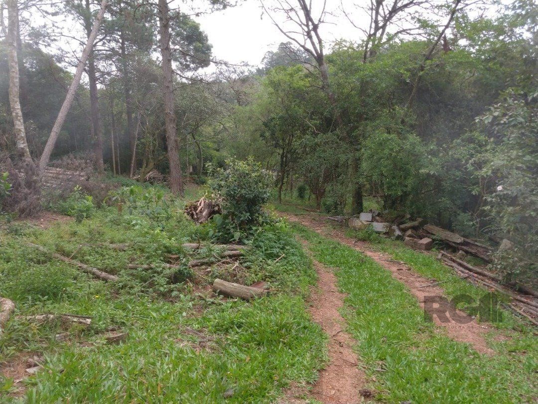 Area 6,69ha | Bairro Belem Velho — foto 2