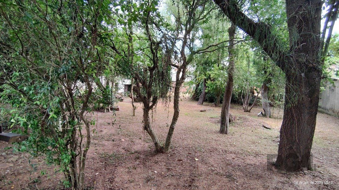 Terreno plano com 24,90m de frente, localizado no bairro Serraria. — foto 7