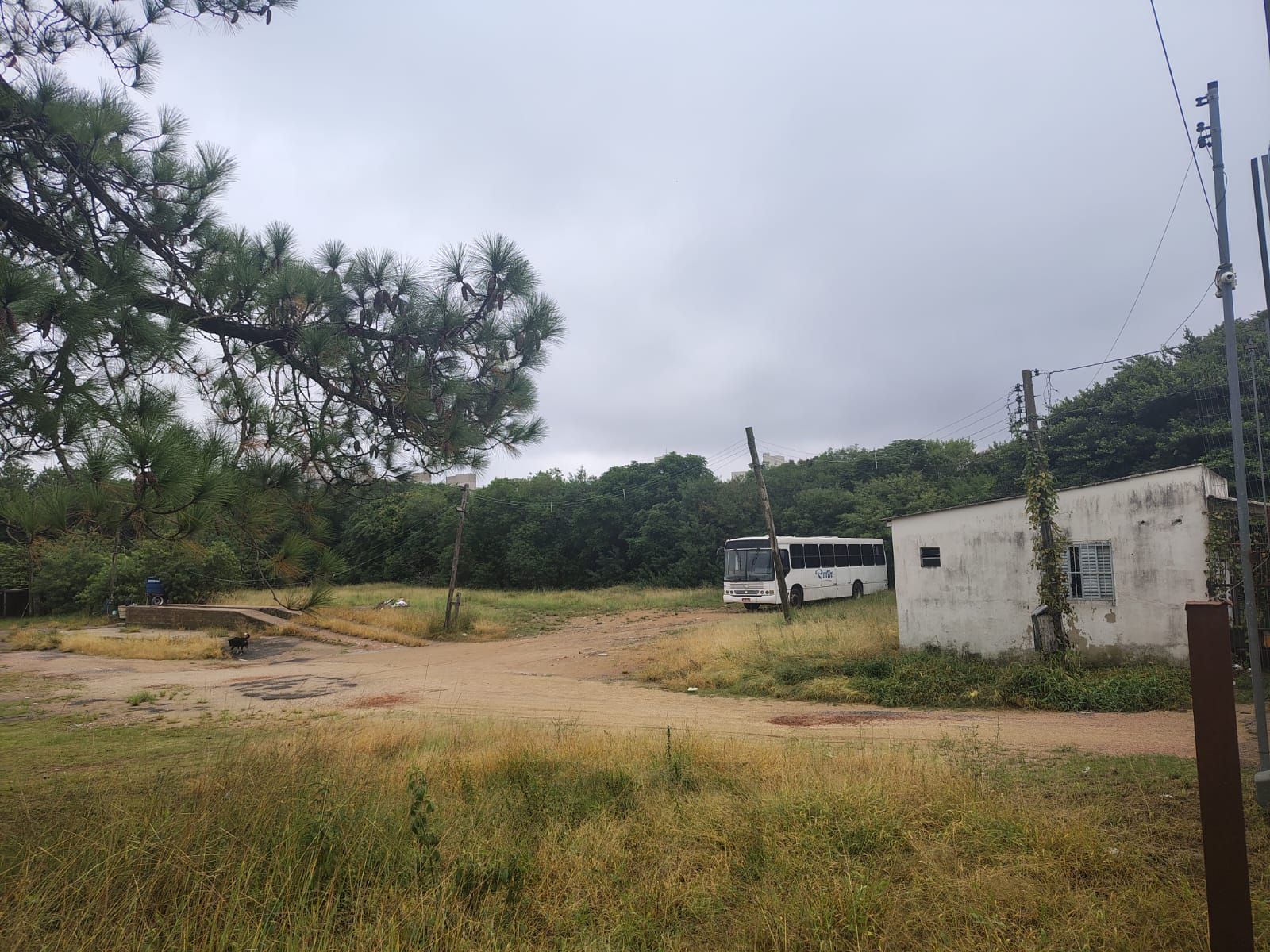 Excelente terreno no bairro Camaquã. — foto 2