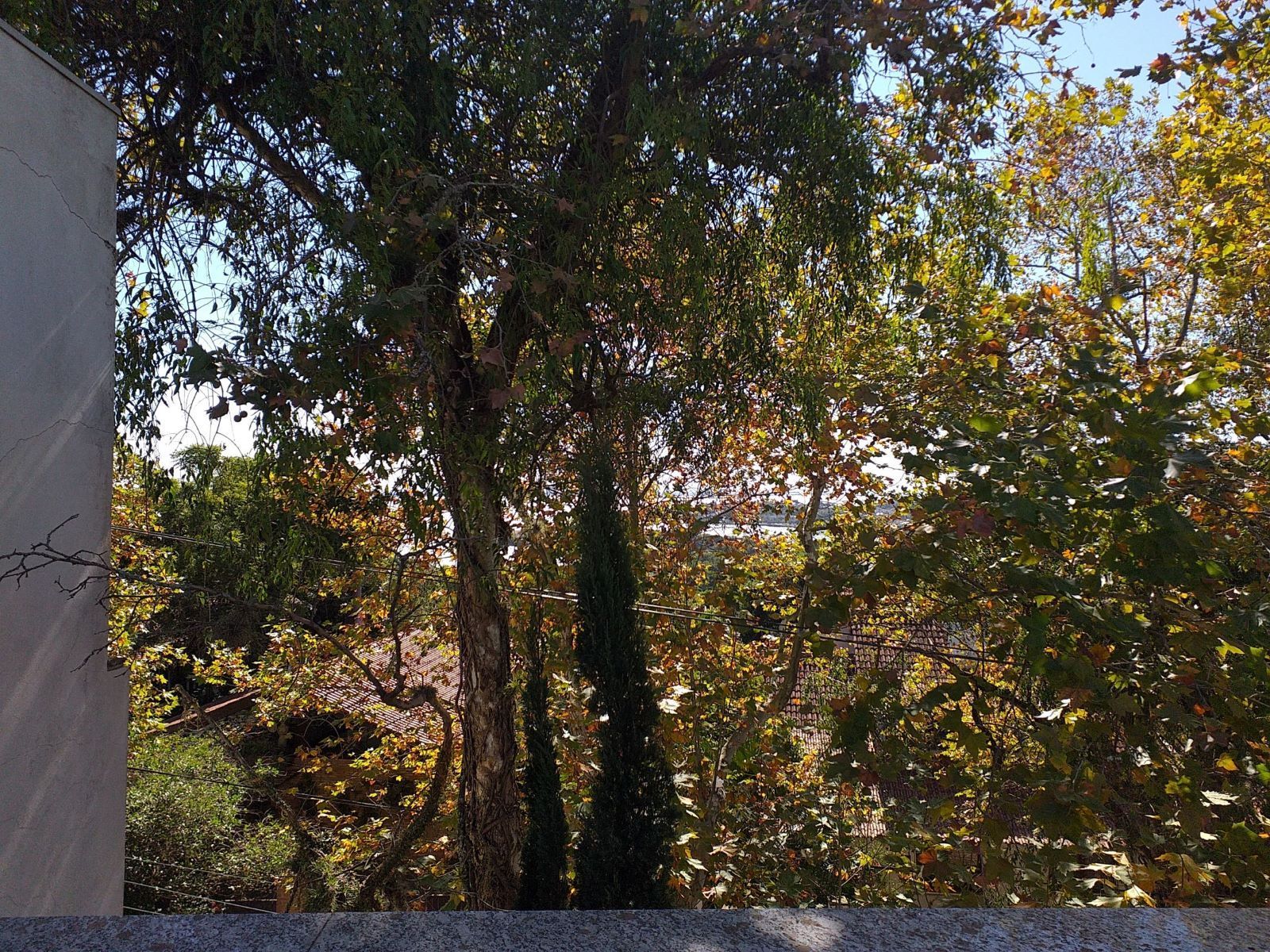 Casa com Vista Panorâmica para o Guaíba na Vila Conceição — foto 79