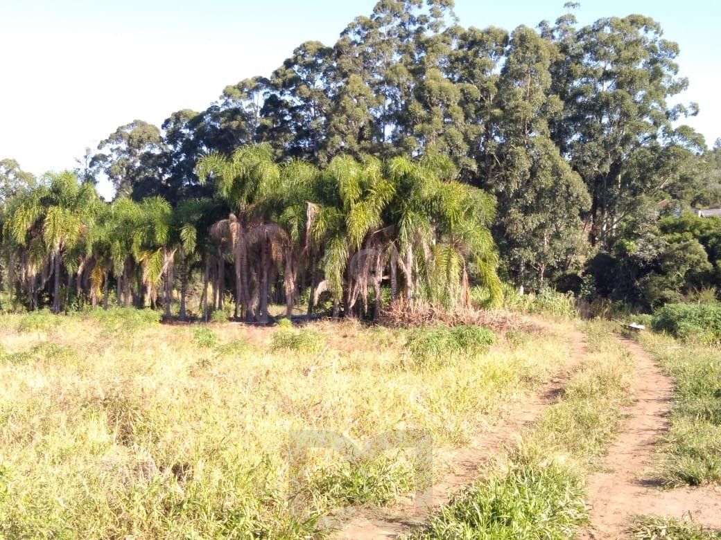 Area para Venda - 36.900m² - Campo Novo — foto 3