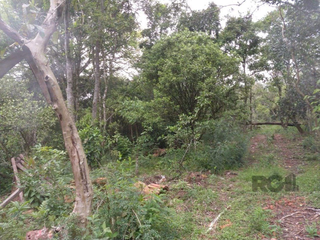 Area 6,69ha | Bairro Belem Velho — foto 12