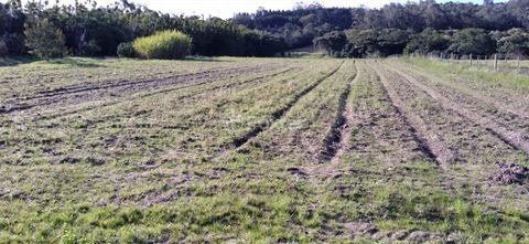 Área com 4,695 Hectares à venda no Lami - Belém Novo — foto 6