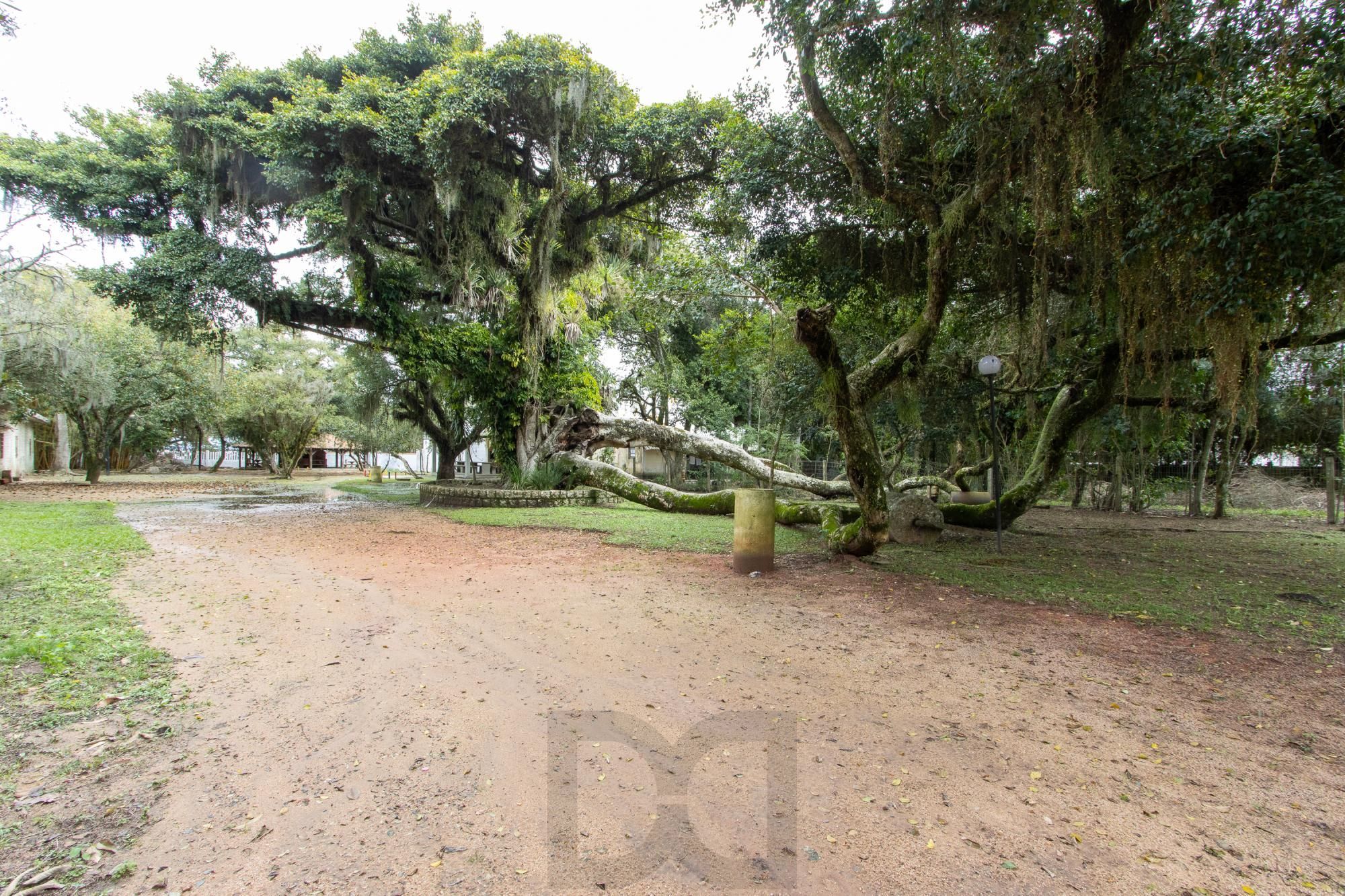 Terreno com edificações para múltiplos negócios lucrativos. — foto 70