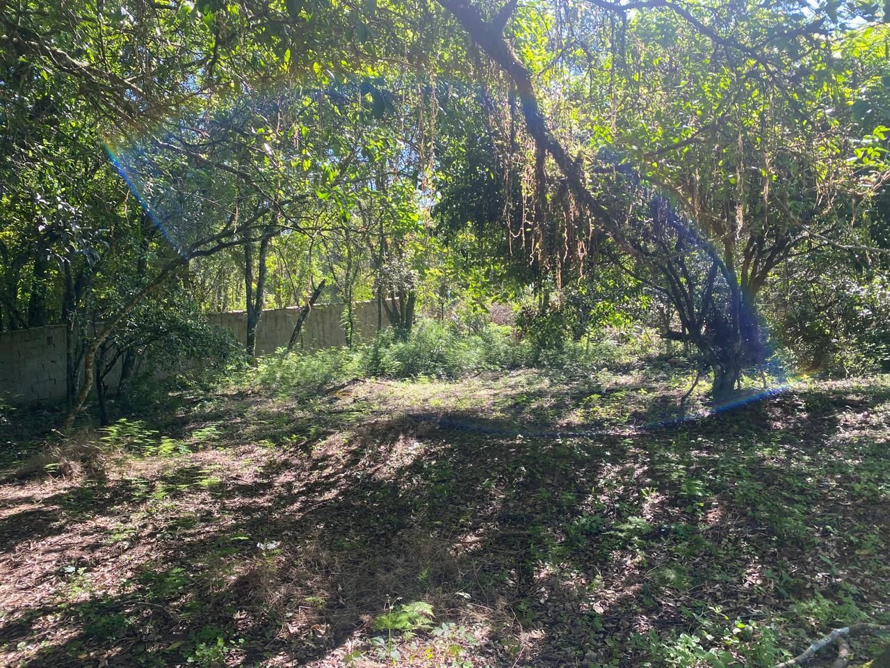 Excelente terreno! — foto 1