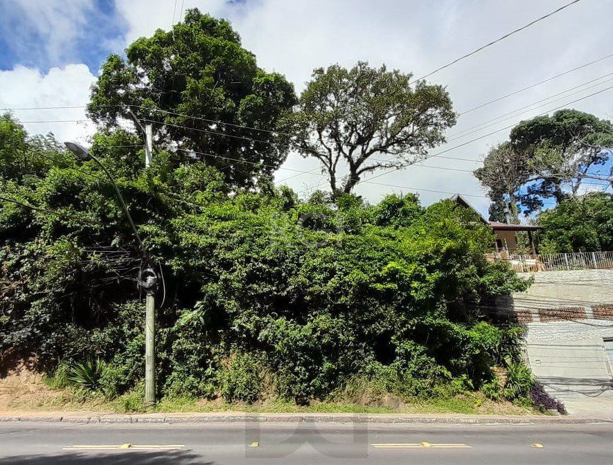 Terreno para Venda - 201m² - Vila Conceição — foto 2