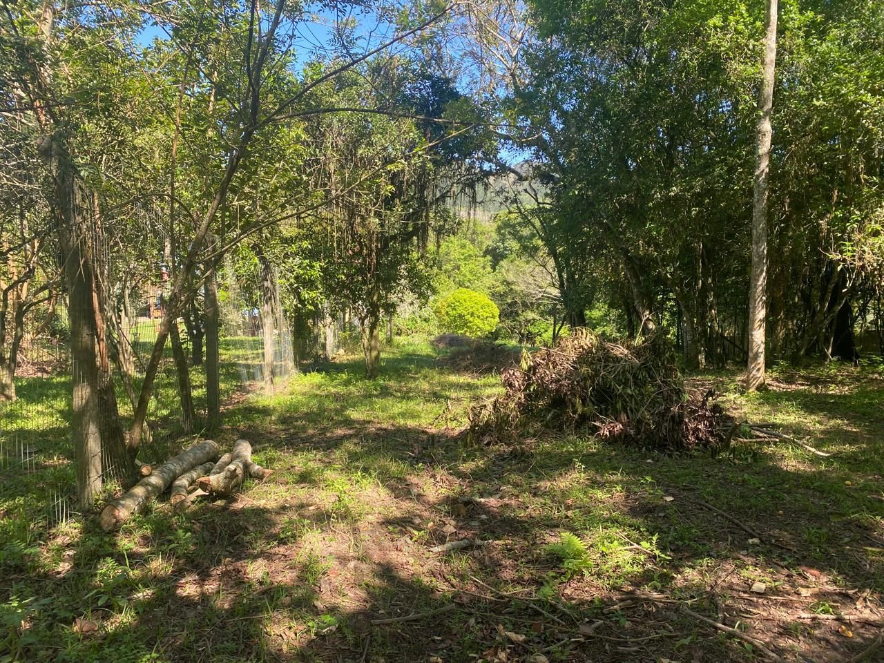 Excelente terreno! — foto 27
