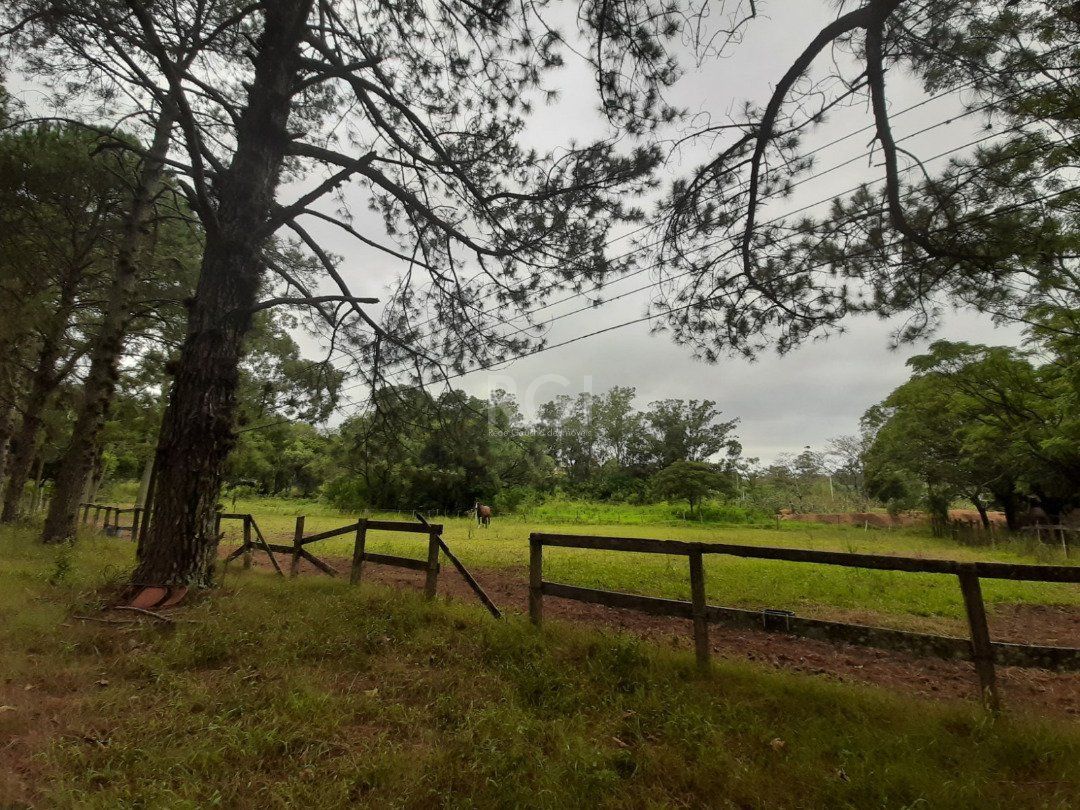 Sítio para Venda - 120217m², 0 dormitórios, Campo Novo — foto 1