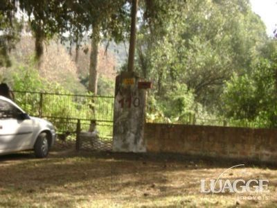 Sítio para Venda com 5000m² e 3 dormitórios no bairro Lami — foto 4