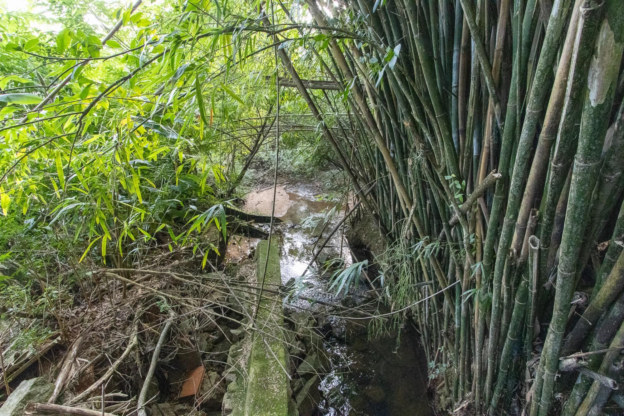 Área medindo 33.426m²! — foto 50