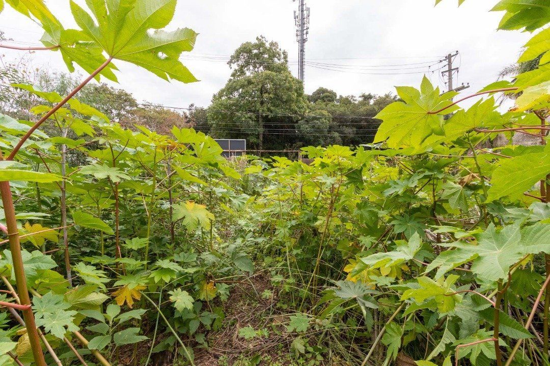 Terreno para Venda - 0m², 0 dormitórios, Vila Assunção — foto 6