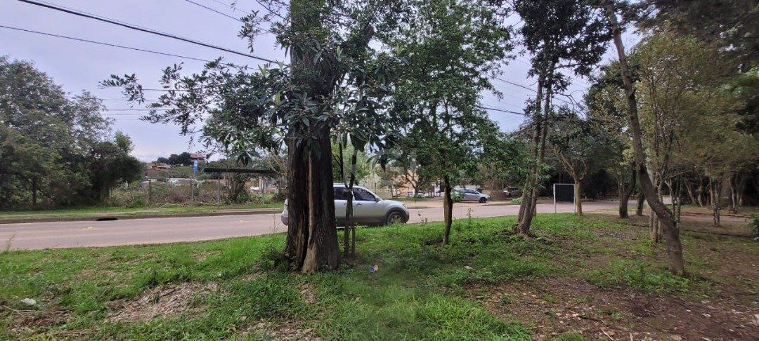Terreno para Venda - 3.037m² no bairro Campo Novo — foto 14
