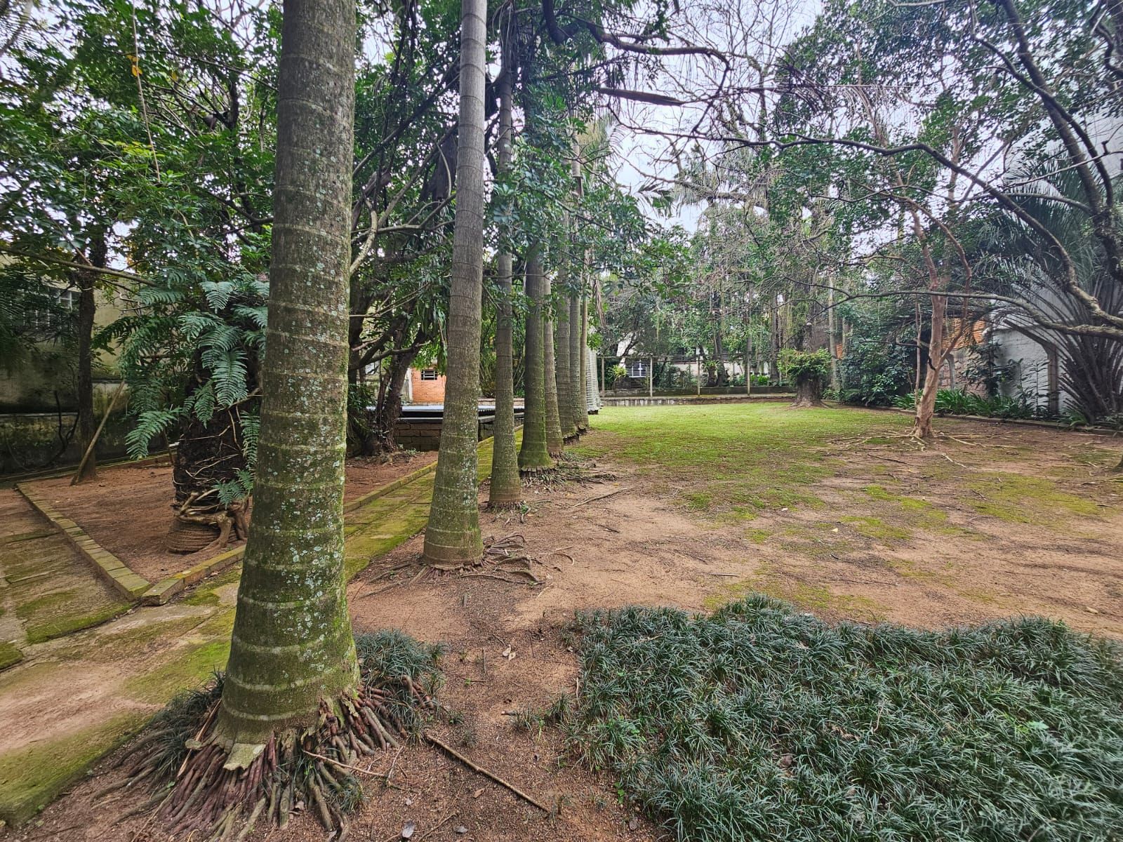 Terreno próprio para construção de condomínio de casas ou apartamentos — foto 1