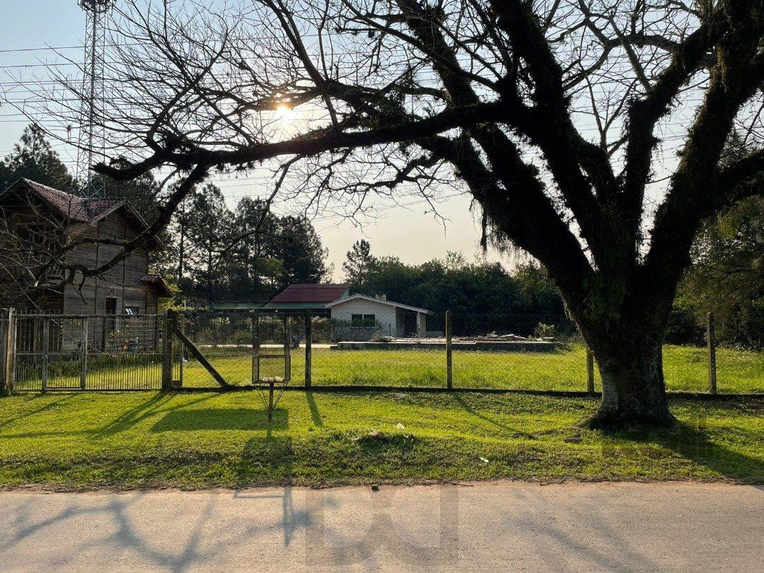 — foto 1