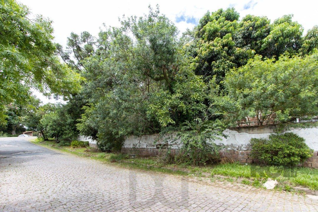 Terreno, 363.78 m², em Vila Conceição, em região elevada e livre de inundações — foto 3
