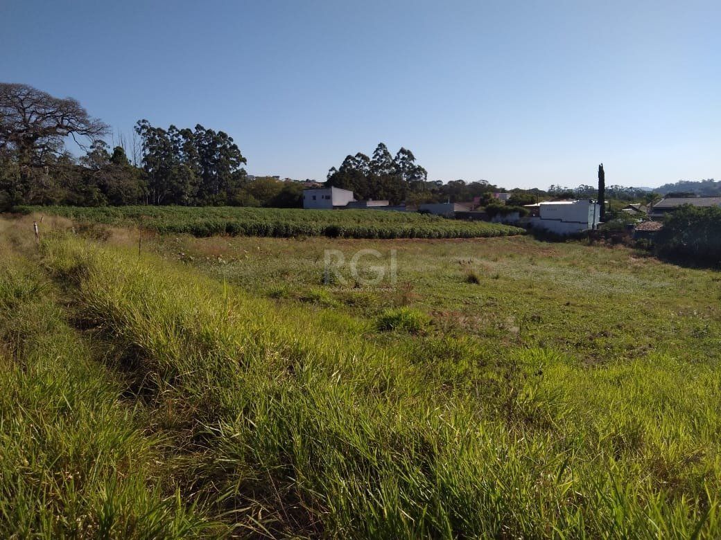 Area para Venda - 36.900m² - Campo Novo — foto 2