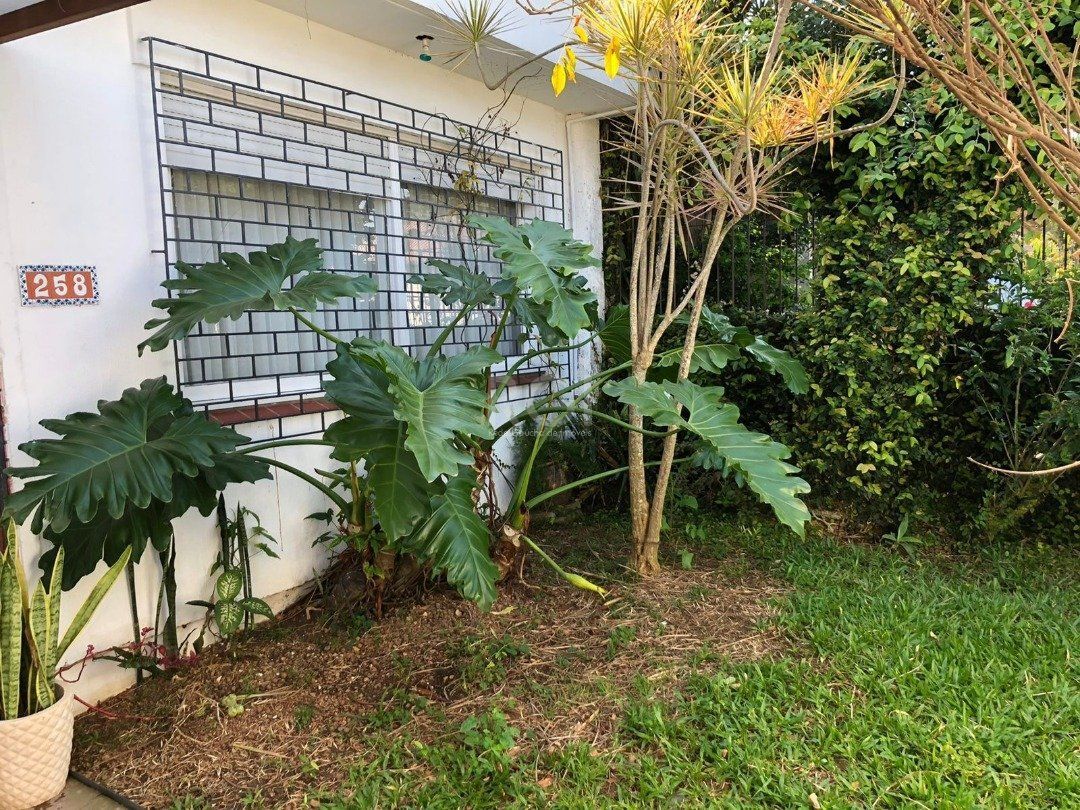 Casa para Venda com 3 dormitórios, sendo 1 suites e 3 vagas no bairro Guarujá — foto 31