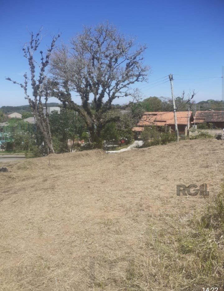 Terreno | 332,78m2 de área | Bairro Belém Novo — foto 3