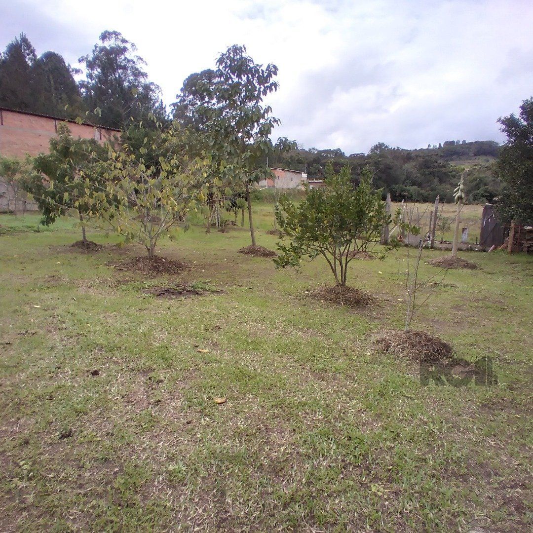 — foto 35