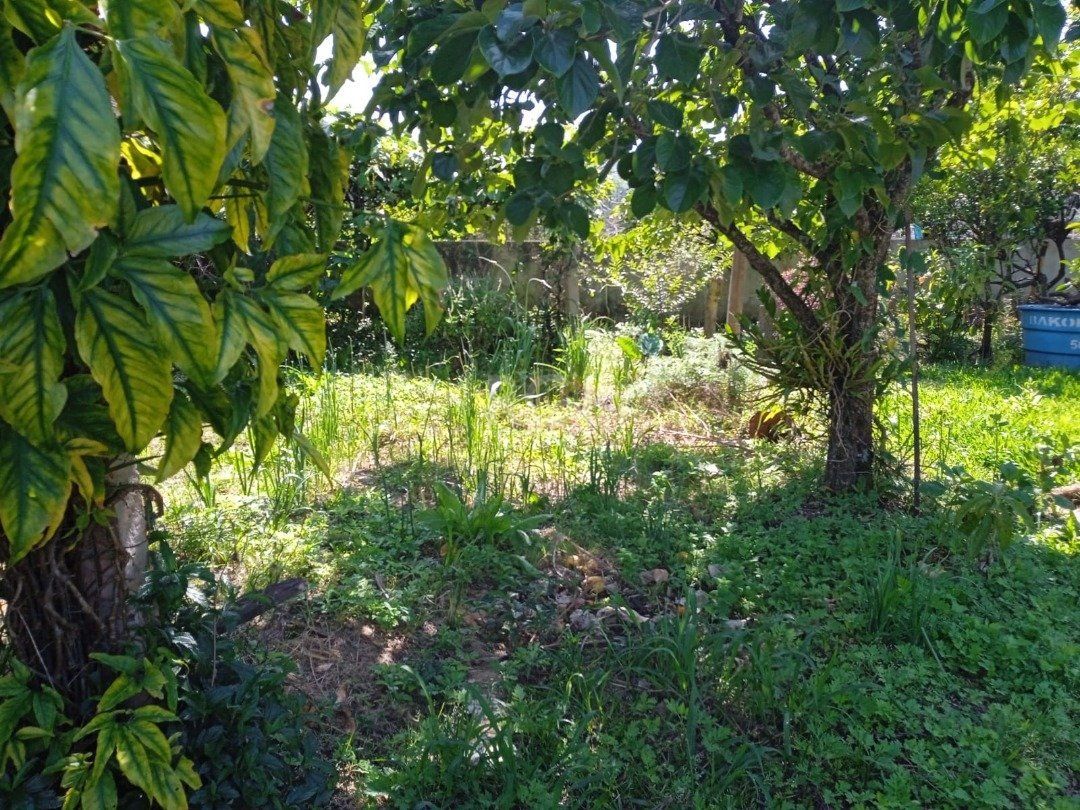 Casa para Venda - 72m², 2 dormitórios, sendo 2 suites, Lageado — foto 12