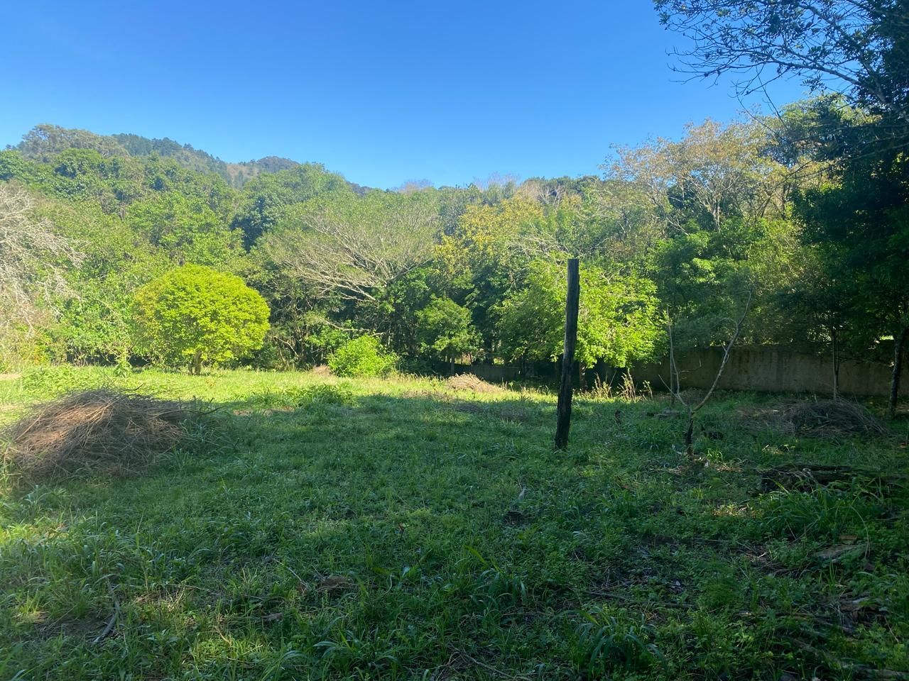 Excelente terreno! — foto 6