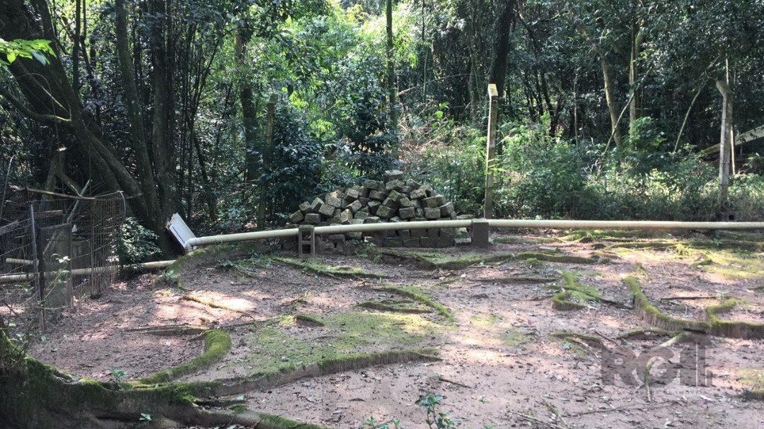 Terreno no Bairro Vila Nova. — foto 4