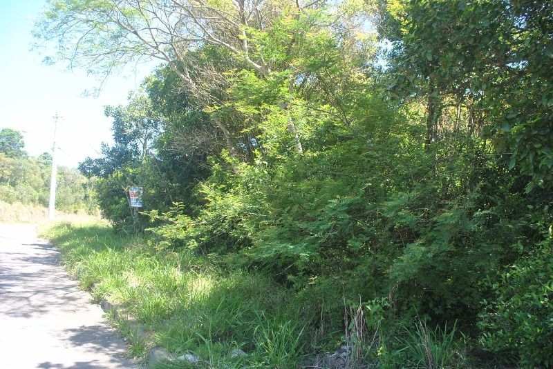 Terreno para Venda  com 930m² no bairro Espírito Santo — foto 7
