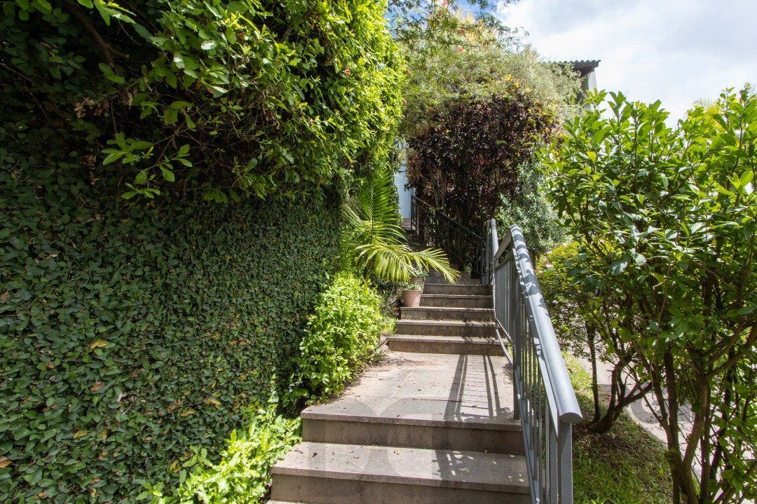 Sobrado com vista para Rio, 3 quartos, 2 suites, pátio, piscina, vaga para 4 carros - Bairro Vila Assunção — foto 7