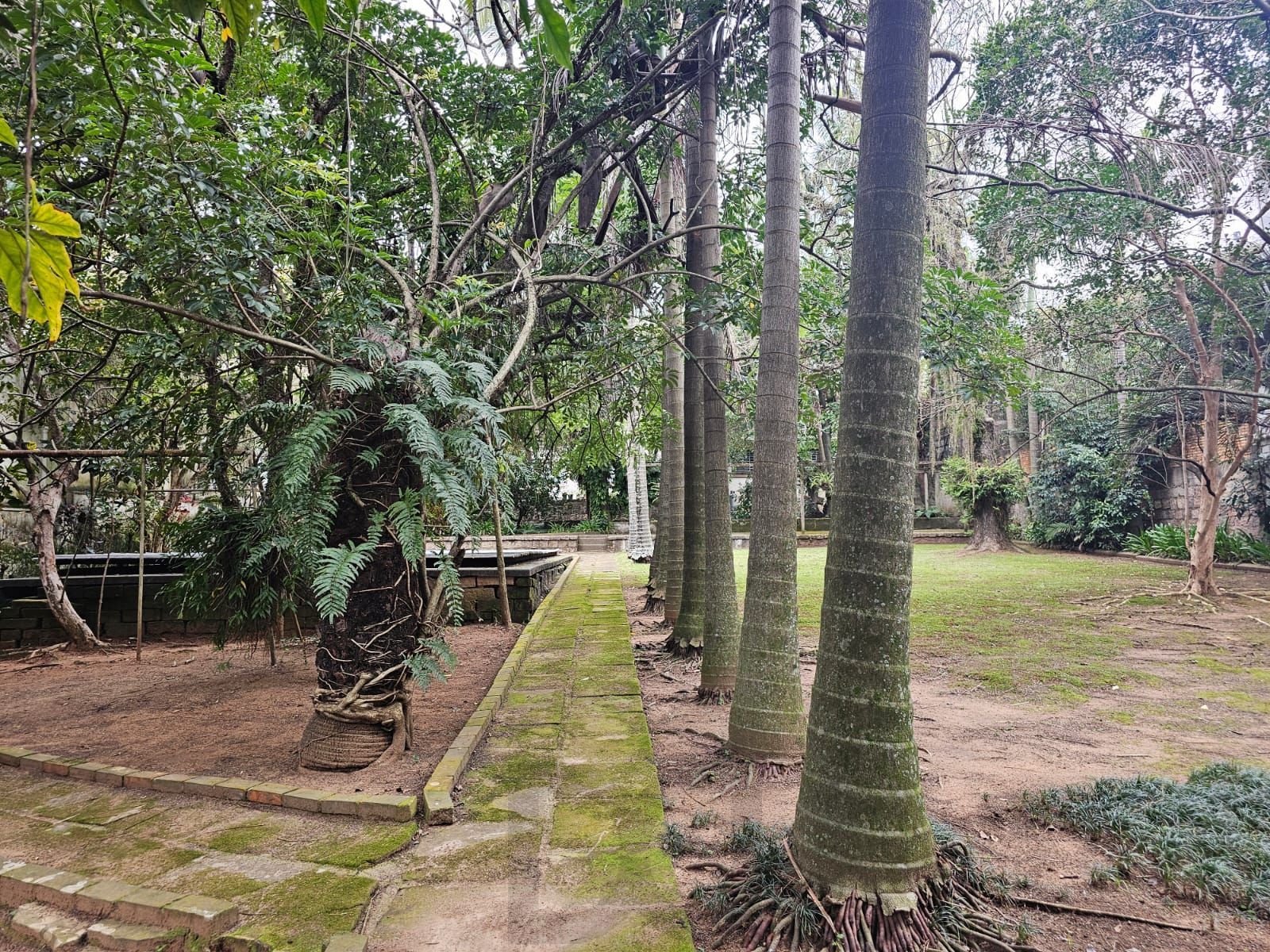 Terreno próprio para construção de condomínio de casas ou apartamentos — foto 4