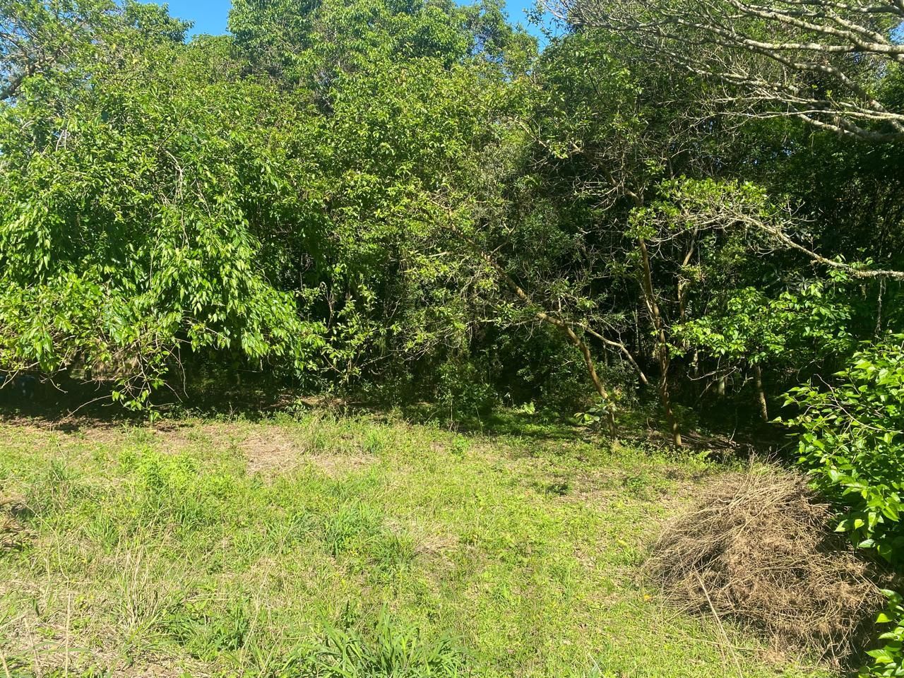 Excelente terreno! — foto 16
