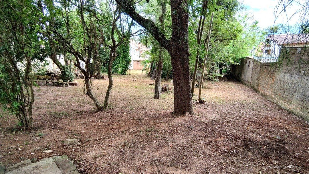 Terreno plano com 24,90m de frente, localizado no bairro Serraria. — foto 8