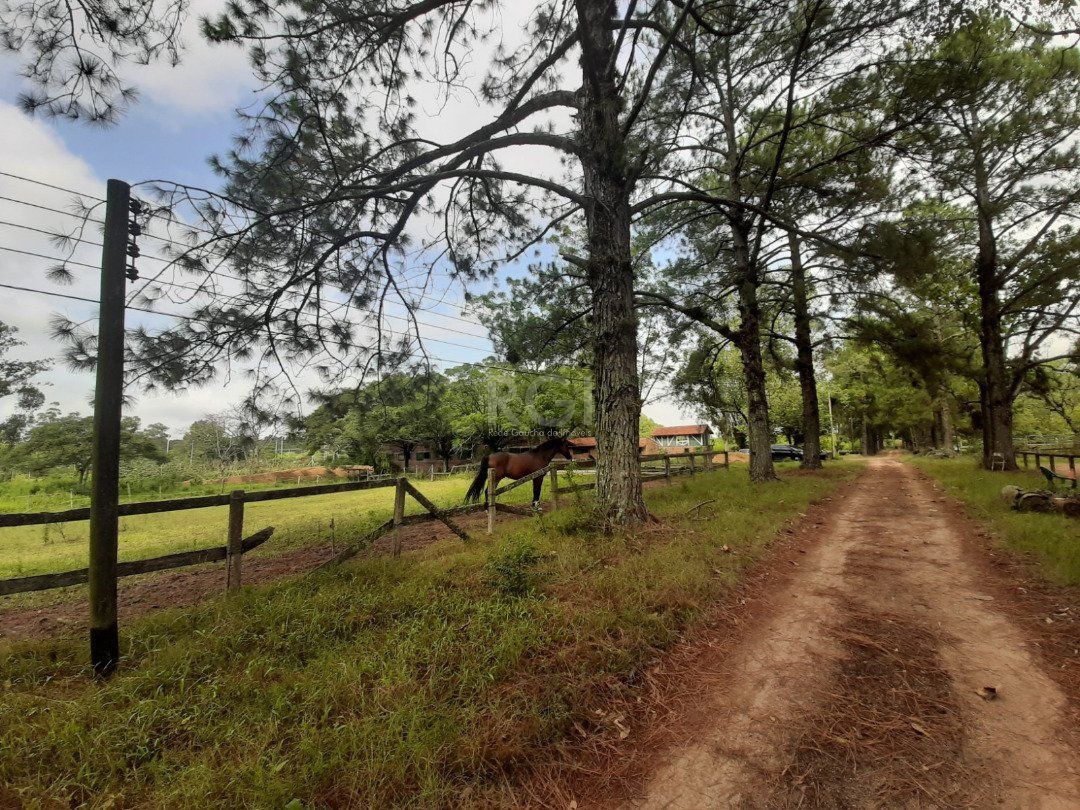 Sítio para Venda - 120217m², 0 dormitórios, Campo Novo — foto 3