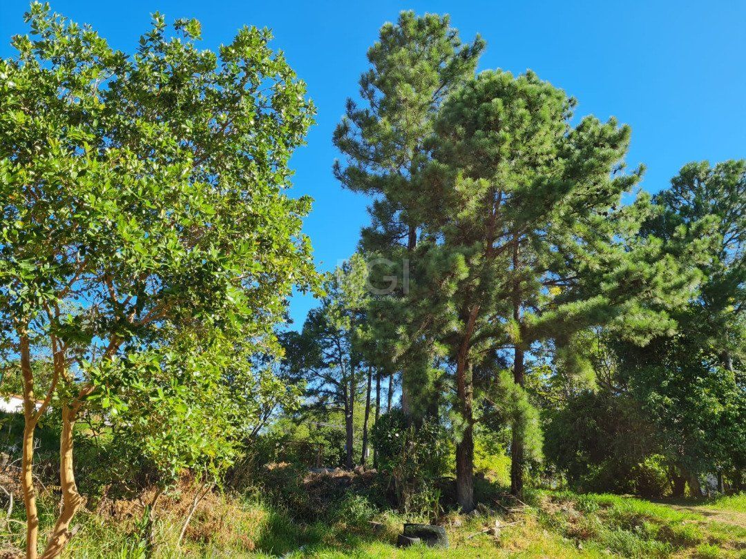 Terreno para Venda - 0m², 0 dormitórios, Vila Nova — foto 4